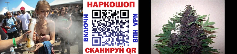 Галлюциногенные грибы Верещагино