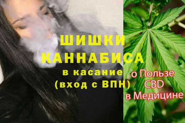 ешки Белокуриха