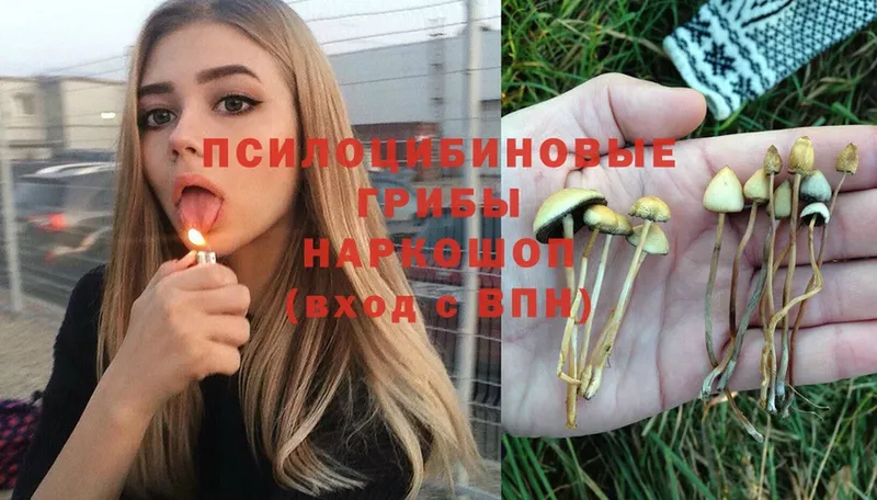 Псилоцибиновые грибы Magic Shrooms  Верещагино 