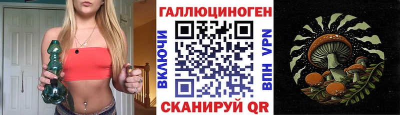блэк спрут tor  Верещагино  Псилоцибиновые грибы мицелий 